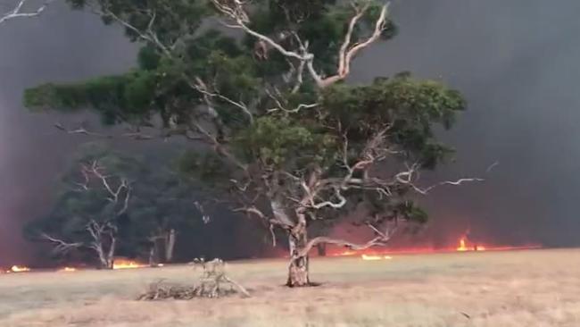 Almost 4000ha of land has been burned in the fire which has been burning since Wednesday. Picture 9NEWS