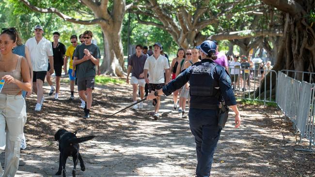 Police and sniffer dogs had a strong presence at Field Day festival in Sydney earlier this year. Picture: Thomas Lisson