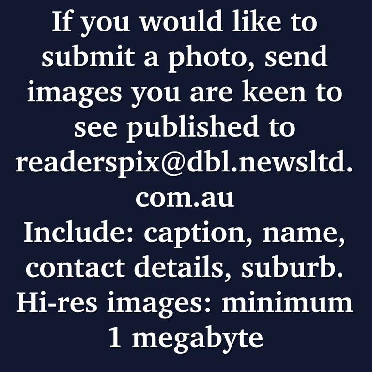 How to submit to The Mercury's readers pictures.