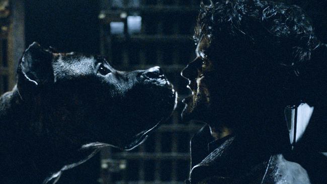 Ramsay Bolton (Iwan Rheon) discovers the hard way his hounds are not as loyal as he thought. Picture: HBO