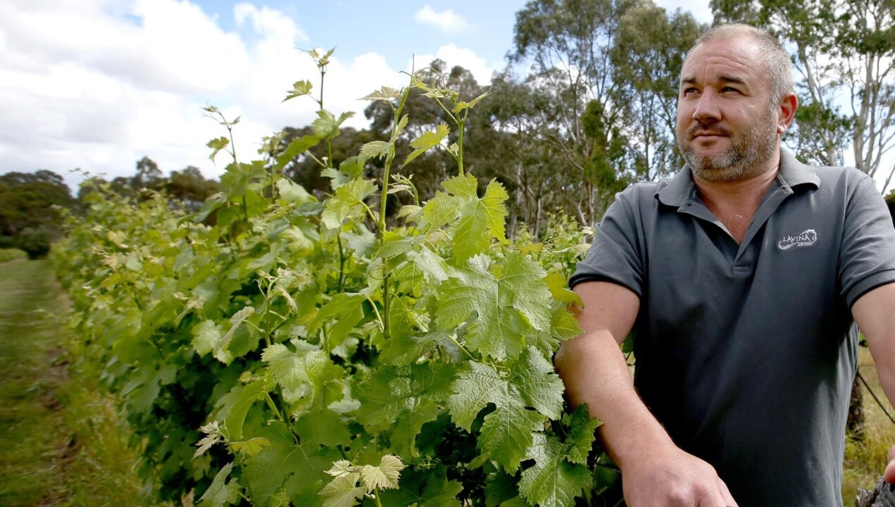 Winemaker delivers thousands of litres of water to desperate farmers in ...