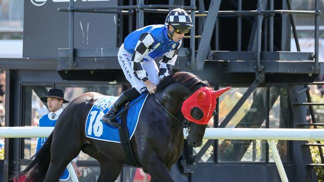 Midnight Opal is “close to a good thing” in the last race. Picture: George Sal/Racing Photos via Getty Images