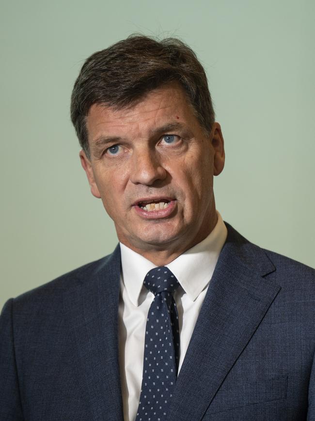 Opposition Treasury Spokesperson Angus Taylor. Picture: Martin Ollman/Getty Images