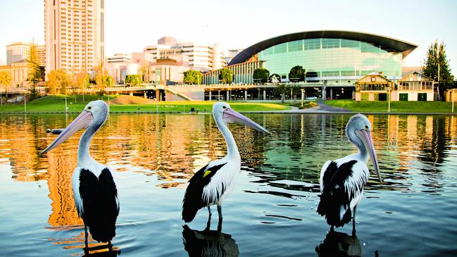 Are Adelaide homes really more valuable than those in Melbourne? Picture: iStock