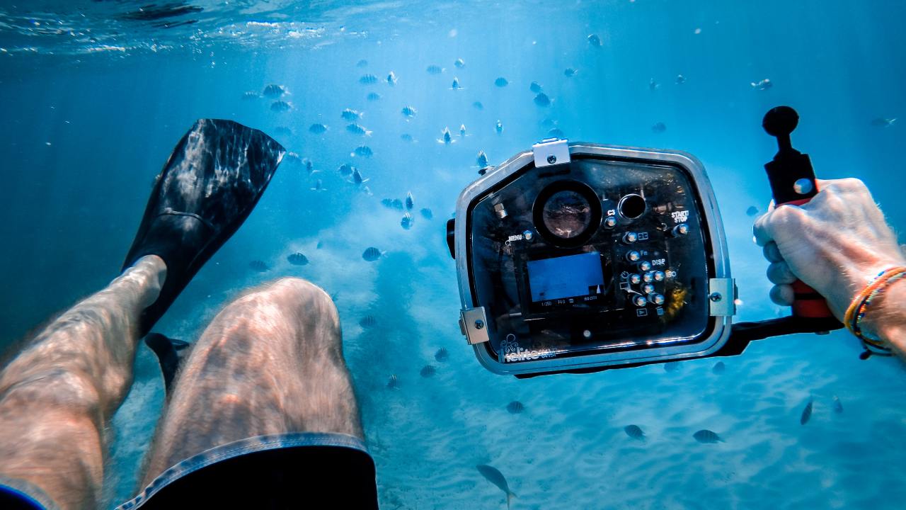 GoPro HERO 9 Best Underwater Photography Settings - Underwater