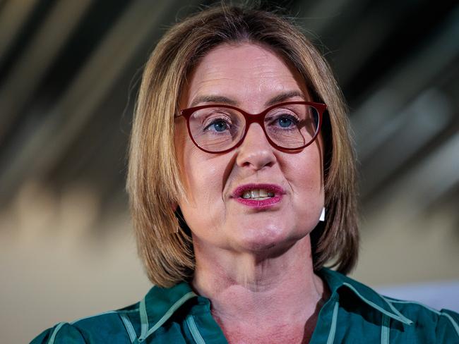 The Allan government wants more quality homes built faster. Picture: Nadir Kinani