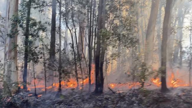 Upland areas north of Woodwark, and land with eucalypt woodland and open forest are a high risk for bushfires. File photo