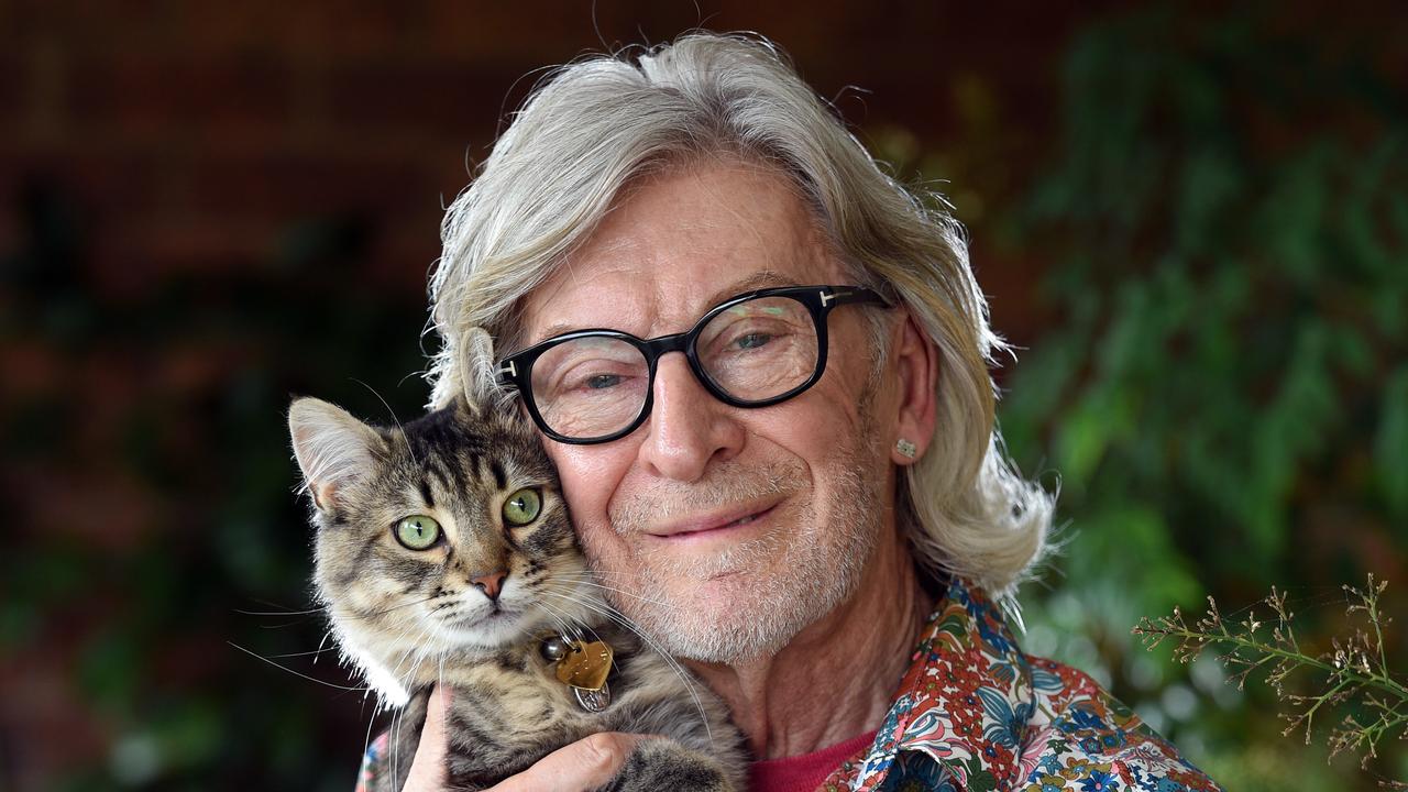 Peter Webb adopted his cat Lucas in October. It's the third rescue cat he's had, but says they 