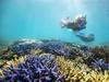 Tourism industry reacts to UNESCO reef decision