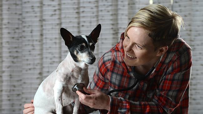 HISTORY: Madasun the miniature fox terrier with owner Talia Giancaspro of Findon. Picture: Naomi Jellicoe