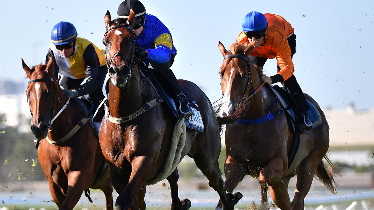 Santa Ana Lane (centre) has been picked up by Coolmore this week.