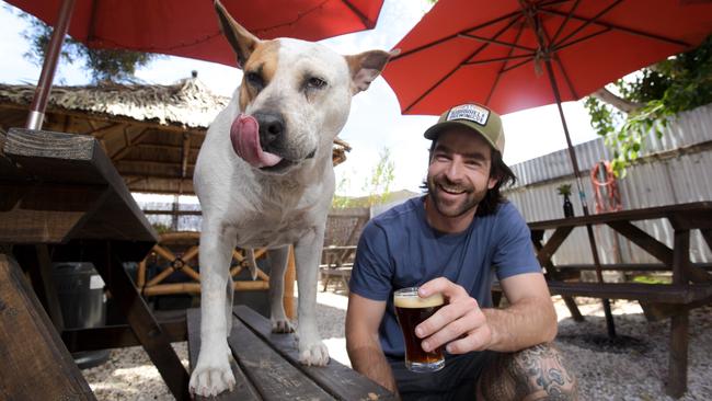 Cheers, floppy ears. Wally, resident dog at the Sweet Amber Beer cafe in Adelaide with his owner Dane Adkins. (Pic: Morgan Sette/AAP)