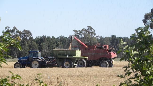 Treasured heir-loam at Corowa ­