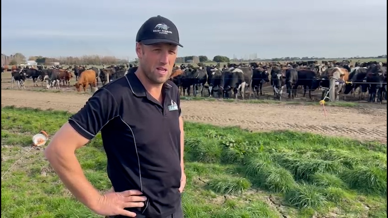 Evan Campbell on drought, opening prices