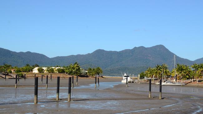 The silted up Port Hinchinbrook marina at low tide. Photo: John Andersen