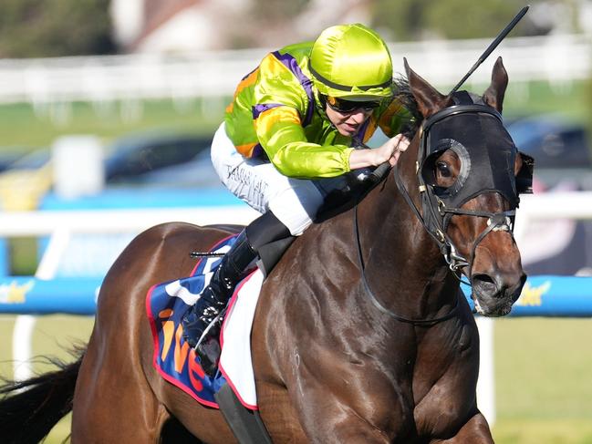 Band Of Brothers ridden by Damian Lane wins the ive > Vain Stakes at Caulfield Racecourse on August 17, 2024 in Caulfield, Australia. (Photo by Scott Barbour/Racing Photos via Getty Images)