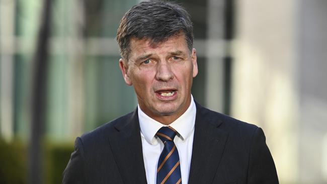 Opposition Treasury spokesman Angus Taylor. Picture: NCA NewsWire / Martin Ollman