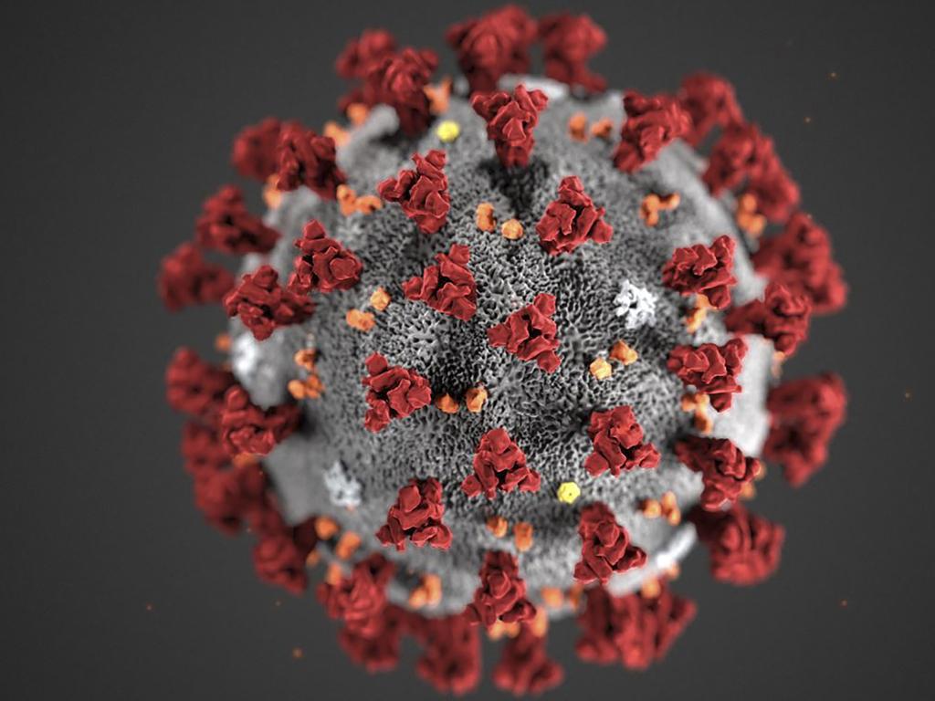 coronavirus outbreak