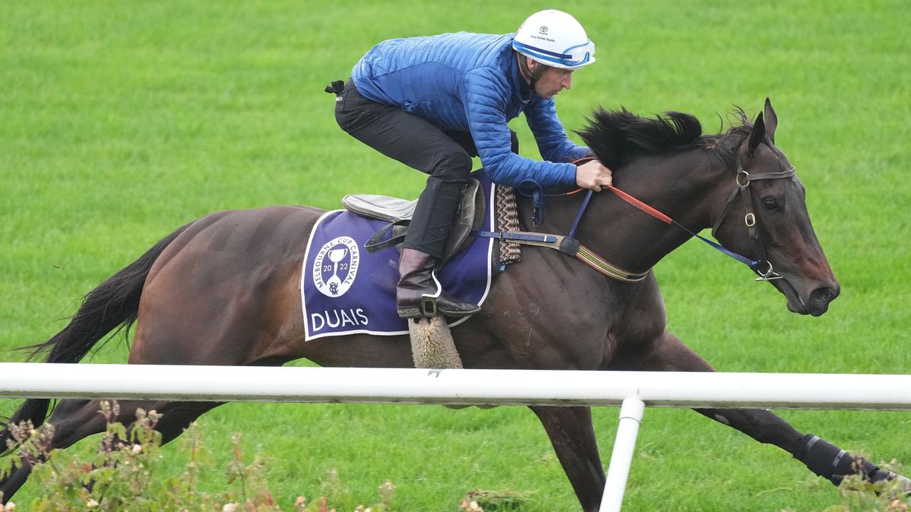 Flemington Trackwork