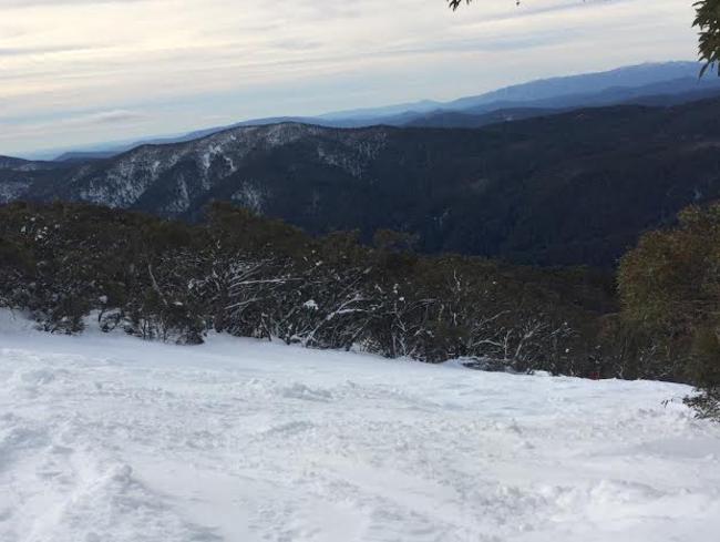 This is a Mt Buller run called Dam Run, one of the most popular blue runs on the north side of the mountain. On a recent Monday afternoon, it wasn’t exactly chockers.