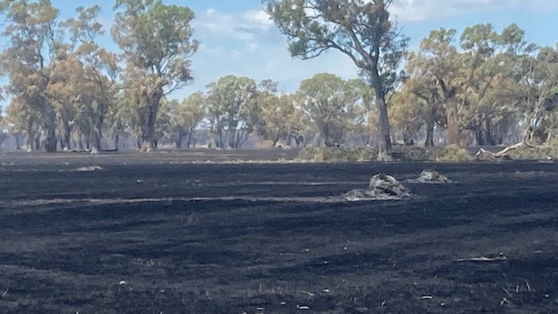 The New Years blaze that hit Poolaijelo on New Year’s Eve was the biggest the region had seen in 60 years. Picture: Rob Pilmore