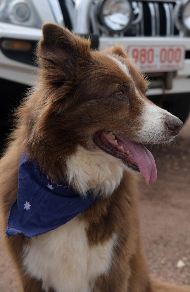 Nellie at the Variety NT Ute Run in Hidden Valley. Picture: (A)manda Parkinson