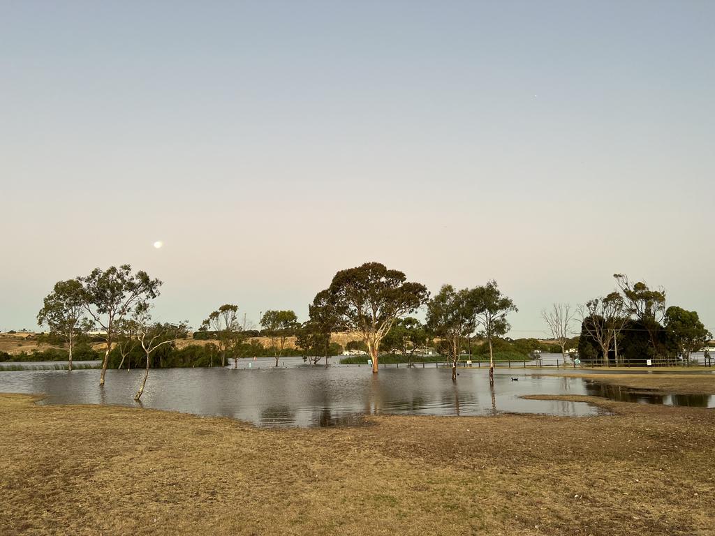 Murray Bridge, Sturt Reserve. Picture: Jo Schulz