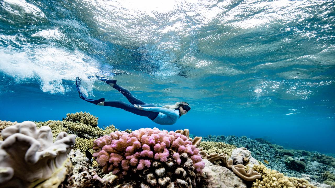 GBR Biology marine biologist Brittany Wassing at Moore Reef on the Great Barrier Reef. Image Luke Marsden