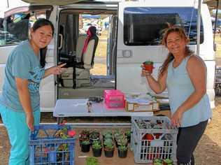 TOP SHOP: Tulang Truong and Narin Shamoun at the Laidley Country Markets this morning. Local and visitors a like to the opportunity to snap up some deals and enjoy the warm weather. Picture: DOMINIC ELSOME