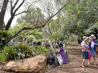 GREEN THUMBS: Visitors were treated to a stunning garden at the Warra Spring time in the Garden day on Saturday. Picture: Brooke Duncan