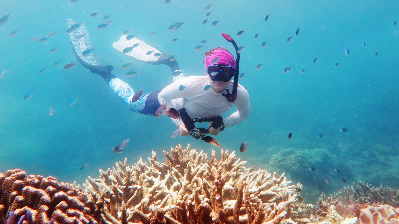 Tanya Murphy snorkels over coral on Moore Reef, one of 150 local heroes who attended a music concert on the Reef Magic pontoon as part of Savannah Sounds on the Reef, the first ever concert to be held on the northern Great Barrier Reef. Picture: Brendan Radke