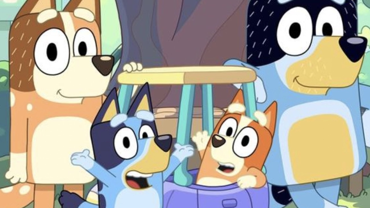 What Is The First Episode Of Bluey Called