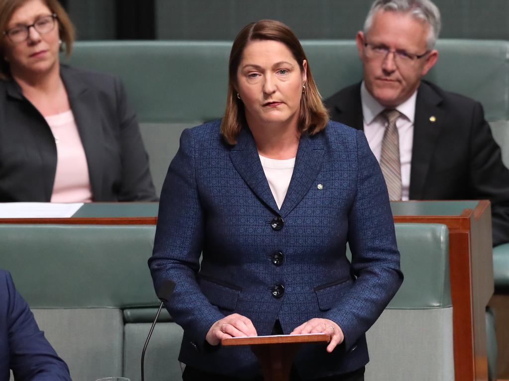 Fiona Phillips delivering her maiden speech in the House of Representatives Chamber, at Parliament House in Canberra. Picture: Kym Smith.