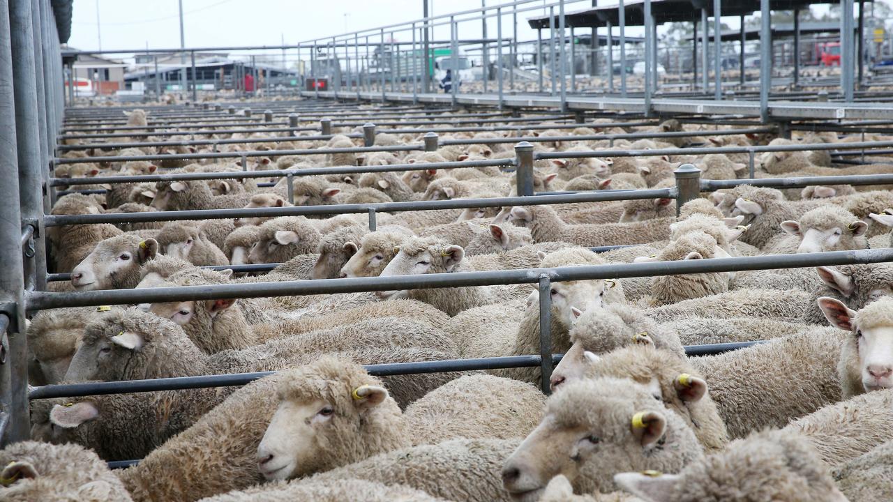 Changes to Australia’s lamb definition apply from July 1 | The Weekly Times