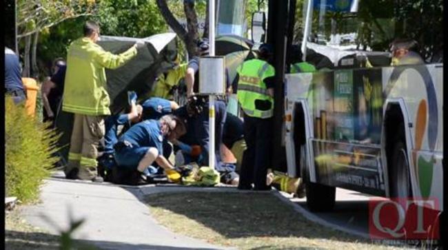 Hero Bus Driver Saves Life The Courier Mail