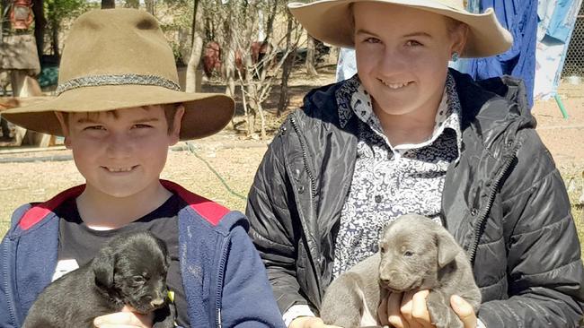 Wyatt, 11 and Madison, 13 Hall wrote a letter to their parents telling them to sell their horses to help out drought relief