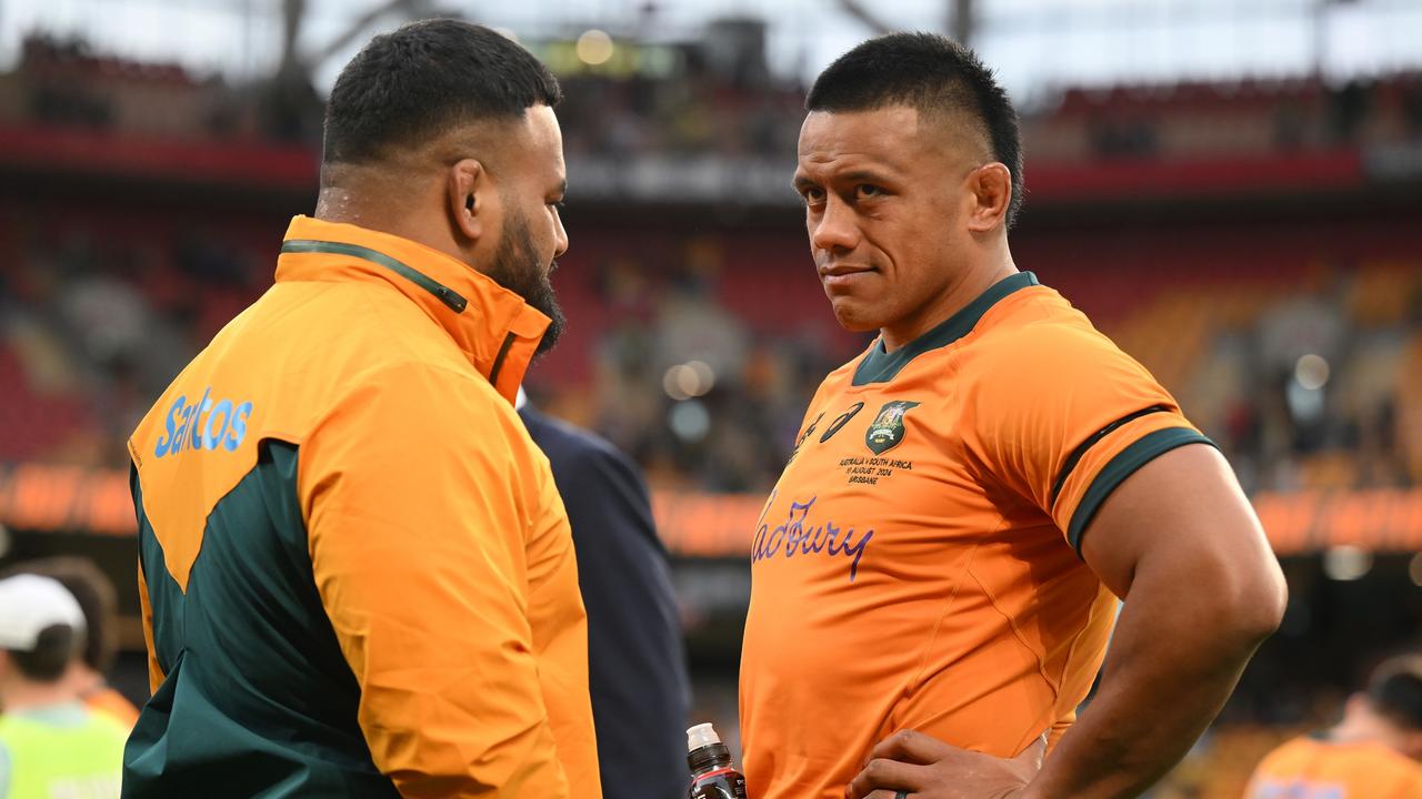 ‘Wasn’t a massive shock’: Springbroks crush Wallabies in opening match of Rugby Championship