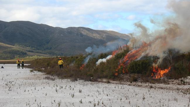 A fuel reduction burn by the Parks and Wildlife Service at Melaleuca. Credit: Parks and Wildlife