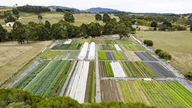 Market gardener Remi Durand’s farm in Willowmavin, in central Victoria. PICTURE: ZOE PHILLIPS