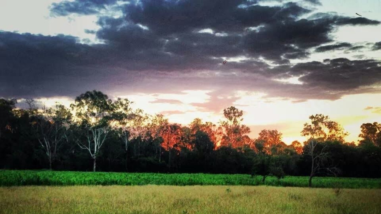 Harvest time on the far. Picture: Save Scott's Farm