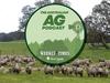 Podcast: Net zero safeguard ‘makes absolute sense’