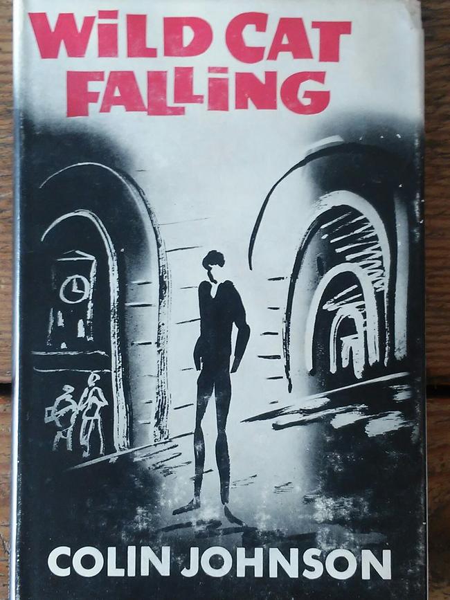 First edition of Wild Cat Falling, by Colin Johnson