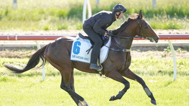 Glen Boss will ride Sir Lucan for trainers Gai Waterhouse and Adrian Bott. Picture: Getty Images