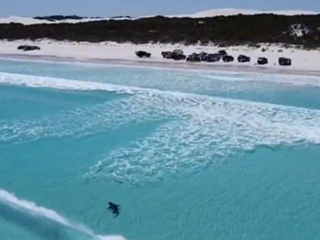 A shark was seen lurking close to shore after the attack. Picture: 9 News