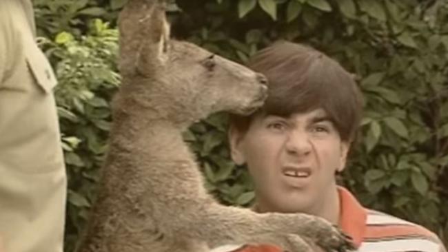 A stuffed Skippy in a Full Frontal episode from the 1990s. Sadly he was not number one, despite his national fame and character legacy.