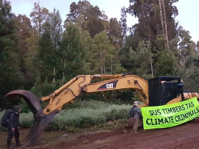 Six Tarkine Defenders have been charged today, after defending rainforest trees on public land from logging. Picture: Supplied