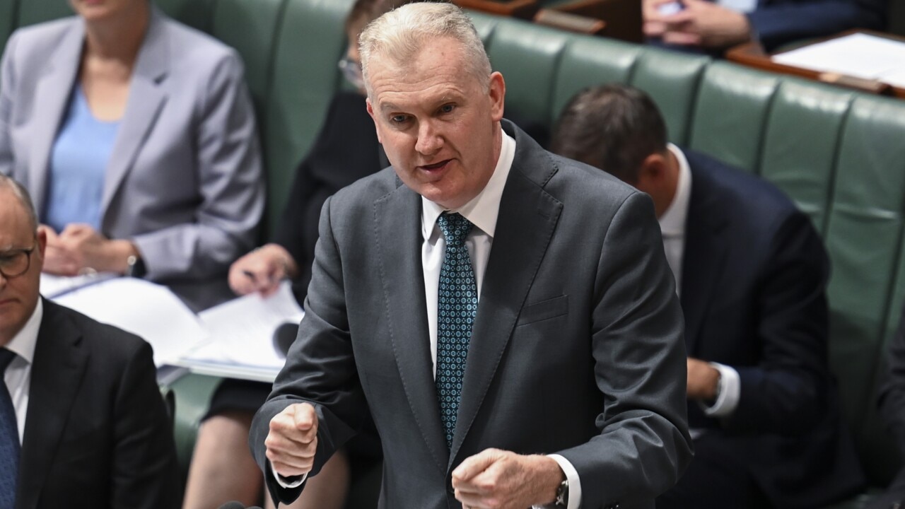 ‘Absolutely shocking for the economy’: Tony Burke’s IR changes ‘bad for workers’