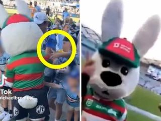 Reggie the Rabbit’s surprising identity exposed after NRL mascot’s ugly incident