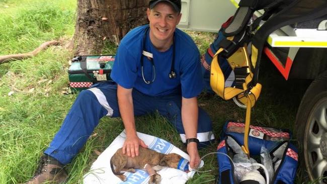 A puppy’s life was saved by a paramedic who gave the dying hound oxygen. Picture: Facebook.