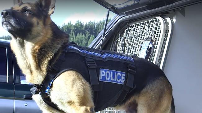 The protectors are getting the protection they deserve. Picture: New Zealand Police/Facebook